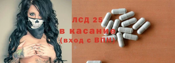 прущие грибы Пролетарск