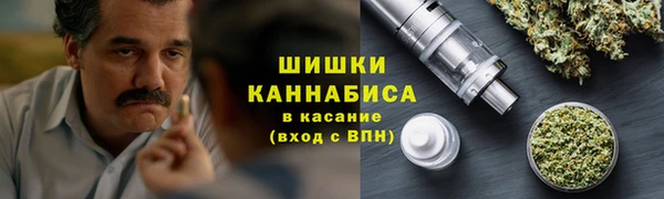 прущие грибы Пролетарск