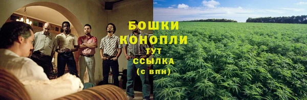 каннабис Рославль