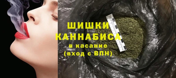 прущие грибы Пролетарск