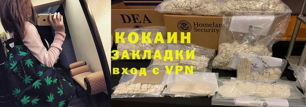 прущие грибы Пролетарск