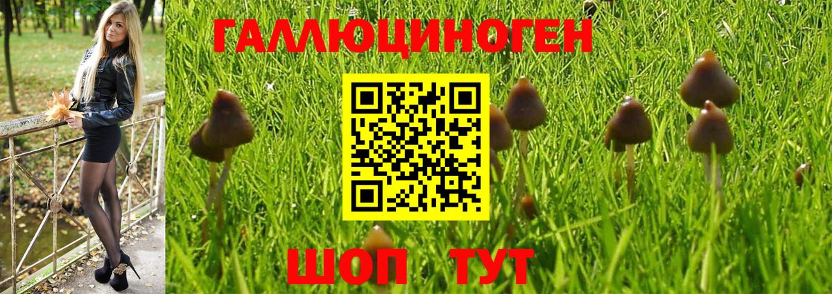 Псилоцибиновые грибы MAGIC MUSHROOMS  Вход с VPN  Псилоцибиновые грибы MAGIC MUSHROOMS  Сокол 
